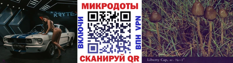 Псилоцибиновые грибы MAGIC MUSHROOMS Купить где Данилов